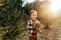 Allie Tree Farm