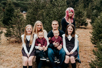 Taylor Tree Farm