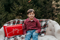 Lindsay Tree Farm
